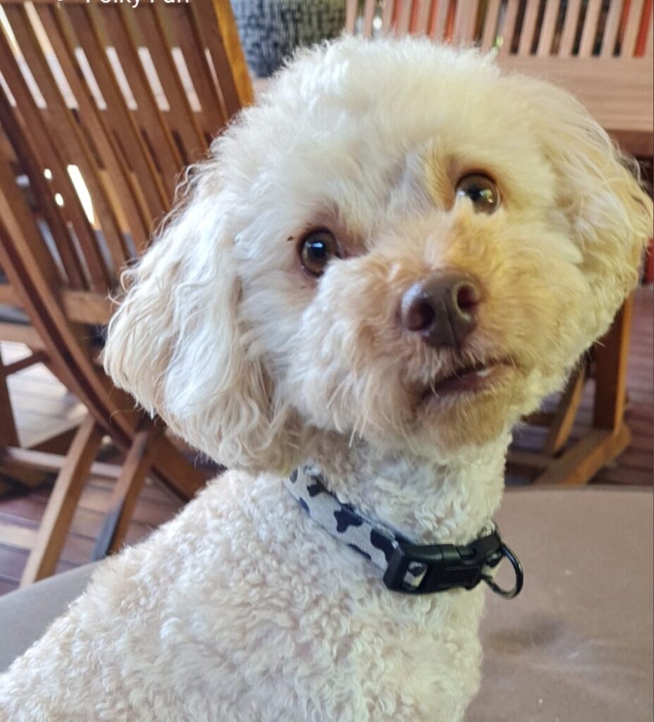 My Relationships|Home